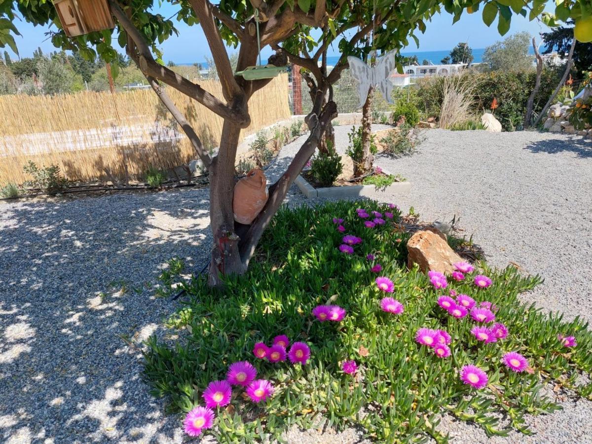 Ktima Natura Archangelos  Dış mekan fotoğraf